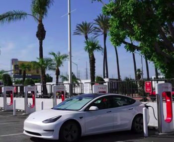 Image 5-29-25 at 11.16 AM